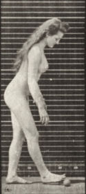 Plate 204 Stooping to pick up a ball — figure reference